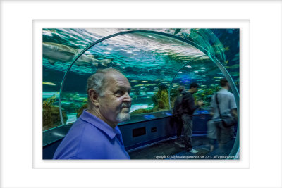 2015 - Ken , Ripley's Aquarium of Canada - Toronto, Ontario - Canada