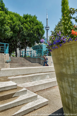 2015 - Toronto Music Garden, Queens Quay W - Toronto, Ontario - Canada