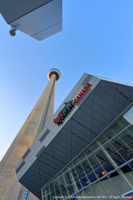 2015 - CN Tower & Ripley's Aquarium of Canada - Toronto, Ontario - Canada