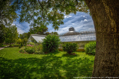 2015 - Allan Gardens - Toronto, Ontario - Canada