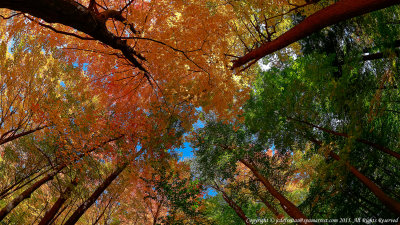 2015 - Sunnybrook Park - Toronto, Ontario - Canada