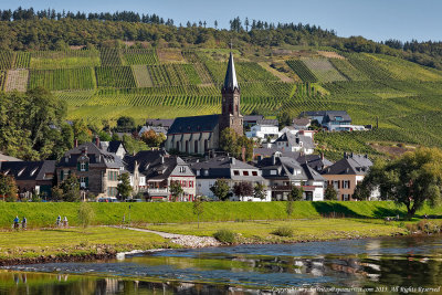 2015 - Moselle River, Lösnich - Germany