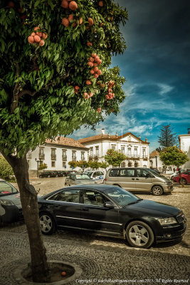 2015 - Vila Adentro -  Faro, Algarve - Potugal