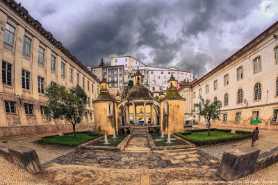 2016 - Jardim da Manga, Coimbra - Portugal