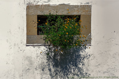 2016 - Window without a View - Faro, Algarve - Portugal