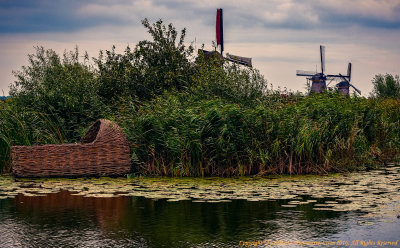 2016 - Kinderdijk - Netherlands