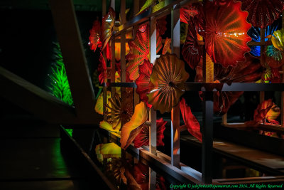 2016 - Dale Chihuly Exhibition at ROM - Toronto, Ontario - Canada