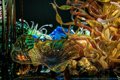 2016 - Dale Chihuly Exhibition at ROM - Toronto, Ontario - Canada