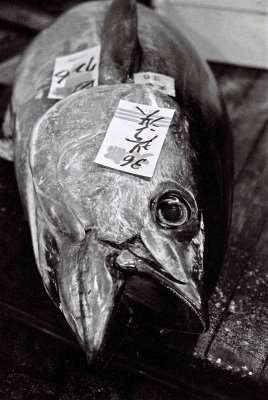 Tokyo - fish market 