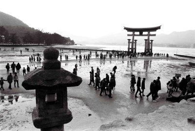 8 - Miyajima 4.JPG