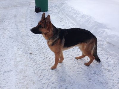 Max