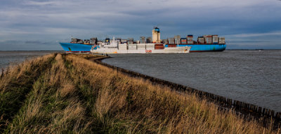 Evelyn Maersk (DK) & Dole Asia (BS)
