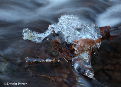 Wahkeena Creek