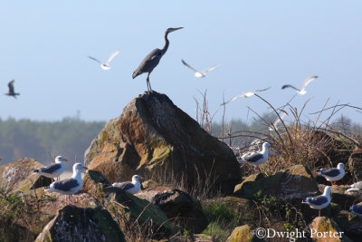 Netarts Bay October 2015