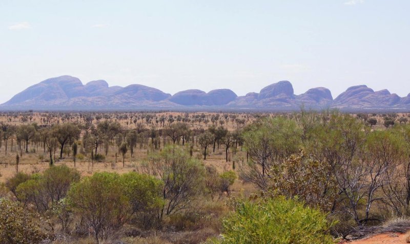 Kata-Tjuta-from-lookout-closeup.jpg