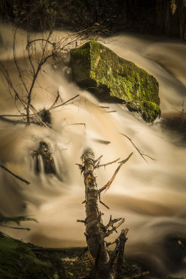 Water in the Landscape