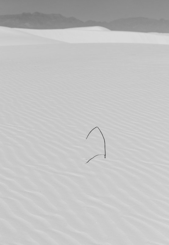 White Sands NM M.Gallagher DSC3283-2.jpg