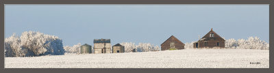 Old prairie homestead in winter.jpg