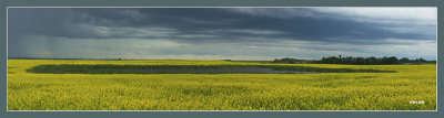 Prairie panoramics