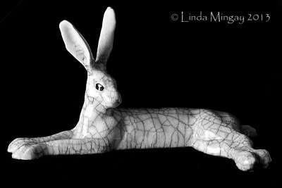 12th June 2013 - hare-y