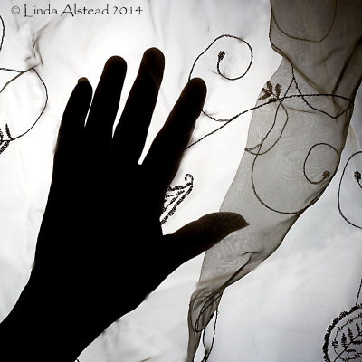 15th January 2014 - elusive