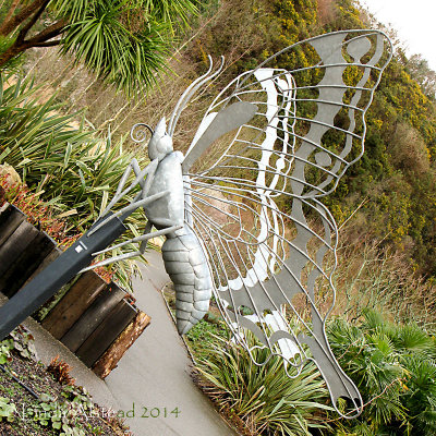 3rd March 2014 - galvanised