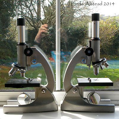 25th March 2014 - microscopic