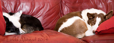 29th March 2014 - the sick and her beneficiary