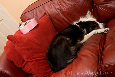 4th June 2014 - it's such hard work...