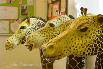 13th June 2014 - bring on the dancing horses