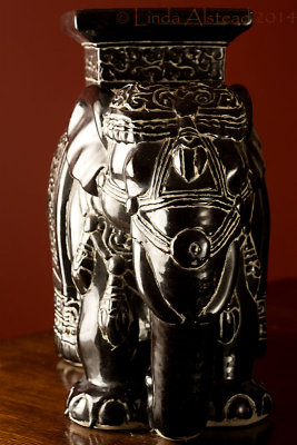 30th August 2014 - the elephant in the room