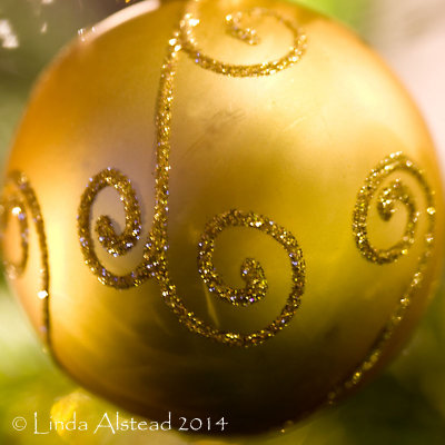 24th December 2014 - we have tree