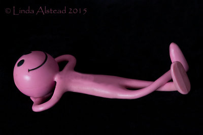 23rd January 2015 - in the pink?