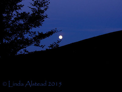 31st July 2015 - blue moon