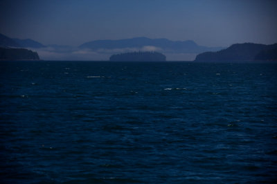 _10A1840.jpg