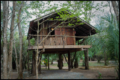 tree house room in Bonito.jpg