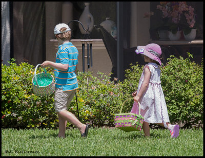 looking for eggs.jpg