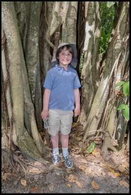 graham in treer in tree.jpg