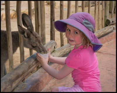 flora feeding kangaroo.jpg