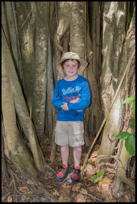 allister in tree.jpg