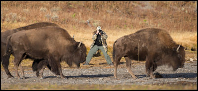 me with buffalo.jpg