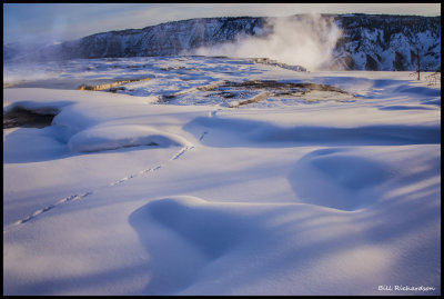 landscapes geyser basin coyote tracks.jpg