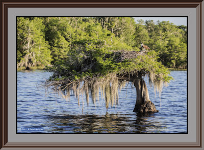 lake scene2.jpg