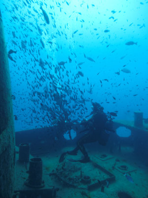 Malta - Ċirkewwa (Rozi)