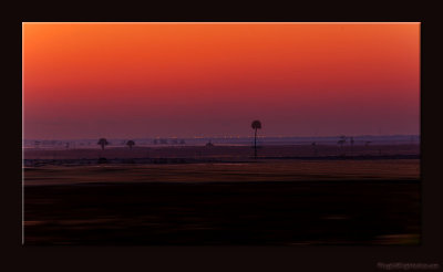 D3X6_0372_68_0313-StJohnWetlands.jpg
