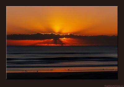 D701_8885_81_0213-N2nd-Rays.jpg