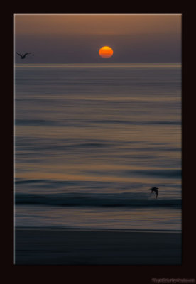 V101_0251_0712-Sunrise-02.jpg