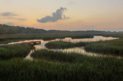D3X6_7545_41_BHIMarshMorning.jpg