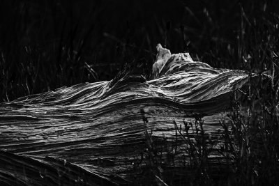 A7r2_1760_ALongSleep.jpg