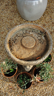 D702_6170_Decoration.jpg
